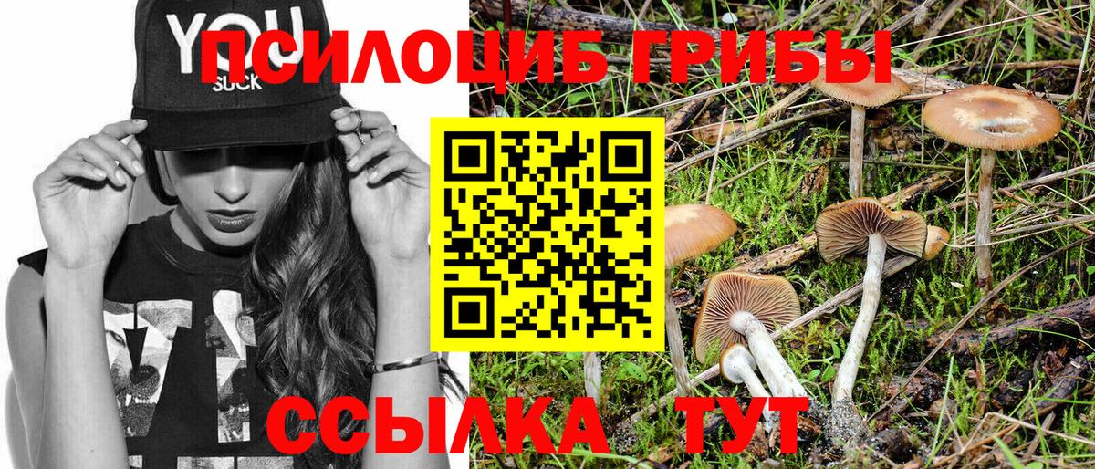 где можно купить наркотик  Галлюциногенные грибы MAGIC MUSHROOMS  Вход с VPN  Дмитров 